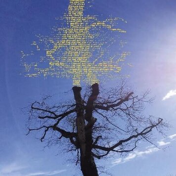 Sadier, Laetitia - Rooting for Love LP