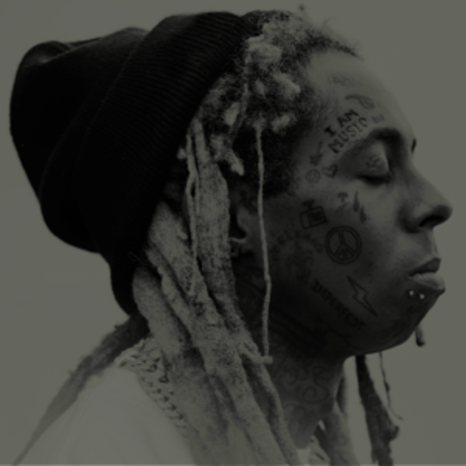 Lil Wayne I Am Music リルウェイン 新品 LPレコード LIL WAYNE - I AM MUSIC Vinyl LP – Experience Vinyl