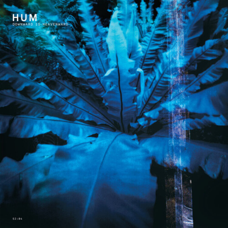 Earth Analog HUM - Downward is Heavenward LP
