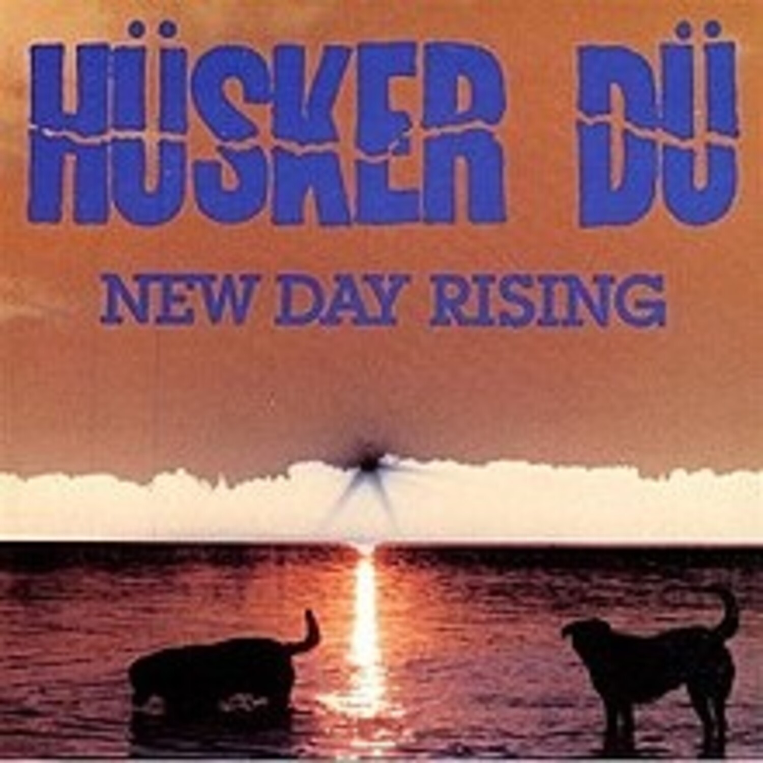 （セール）開催中 人気ブランドも続々プライス - Du Husker New Records Trax Wax - LP Rising Day 洋楽