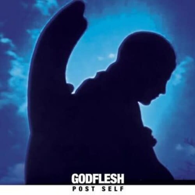 Avalanche Recordings Godflesh - Post Self LP (blue vinyl)