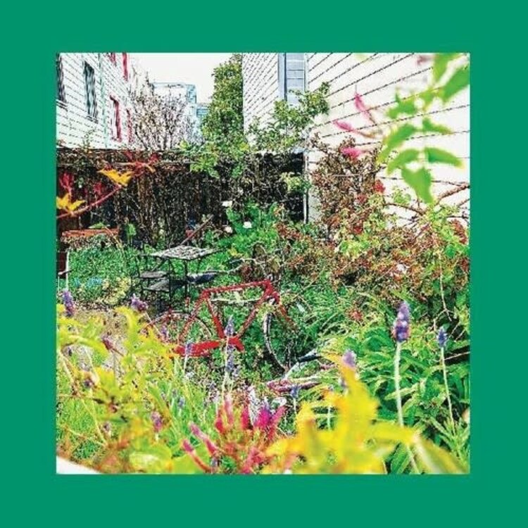 Reds, Pinks  Purples, The - Unwishing Well LP (orange vinyl)