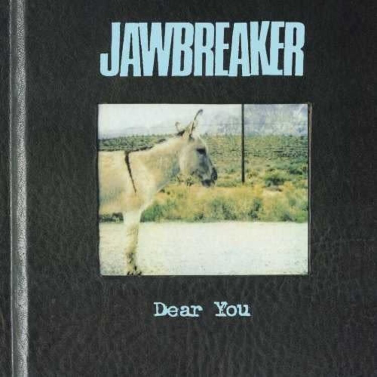 Geffen Jawbreaker - Dear You LP