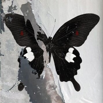 Death Cult - Paradise Now LP (clear w/splatter vinyl)