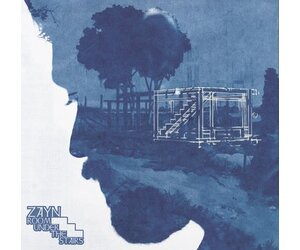 Zayn - Room Under The Stairs LP (green vinyl) - Wax Trax Records