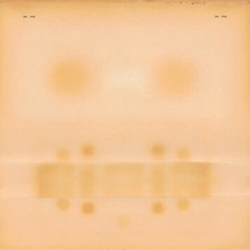 Dr. Dog - (self-titled) LP