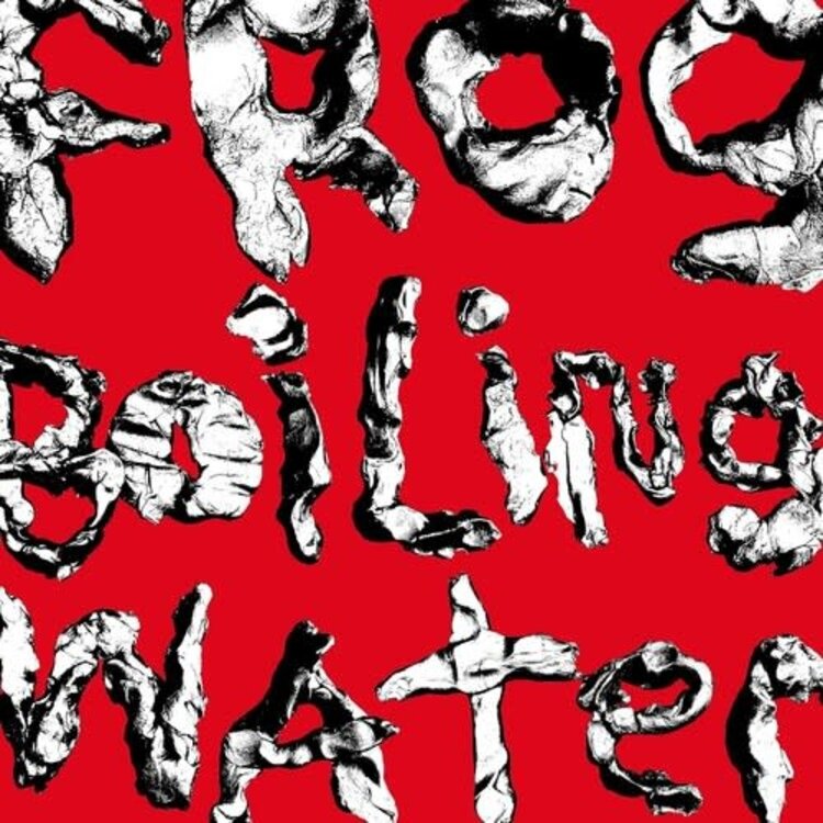 Fantasy DIIV - Frog In Boiling Water LP