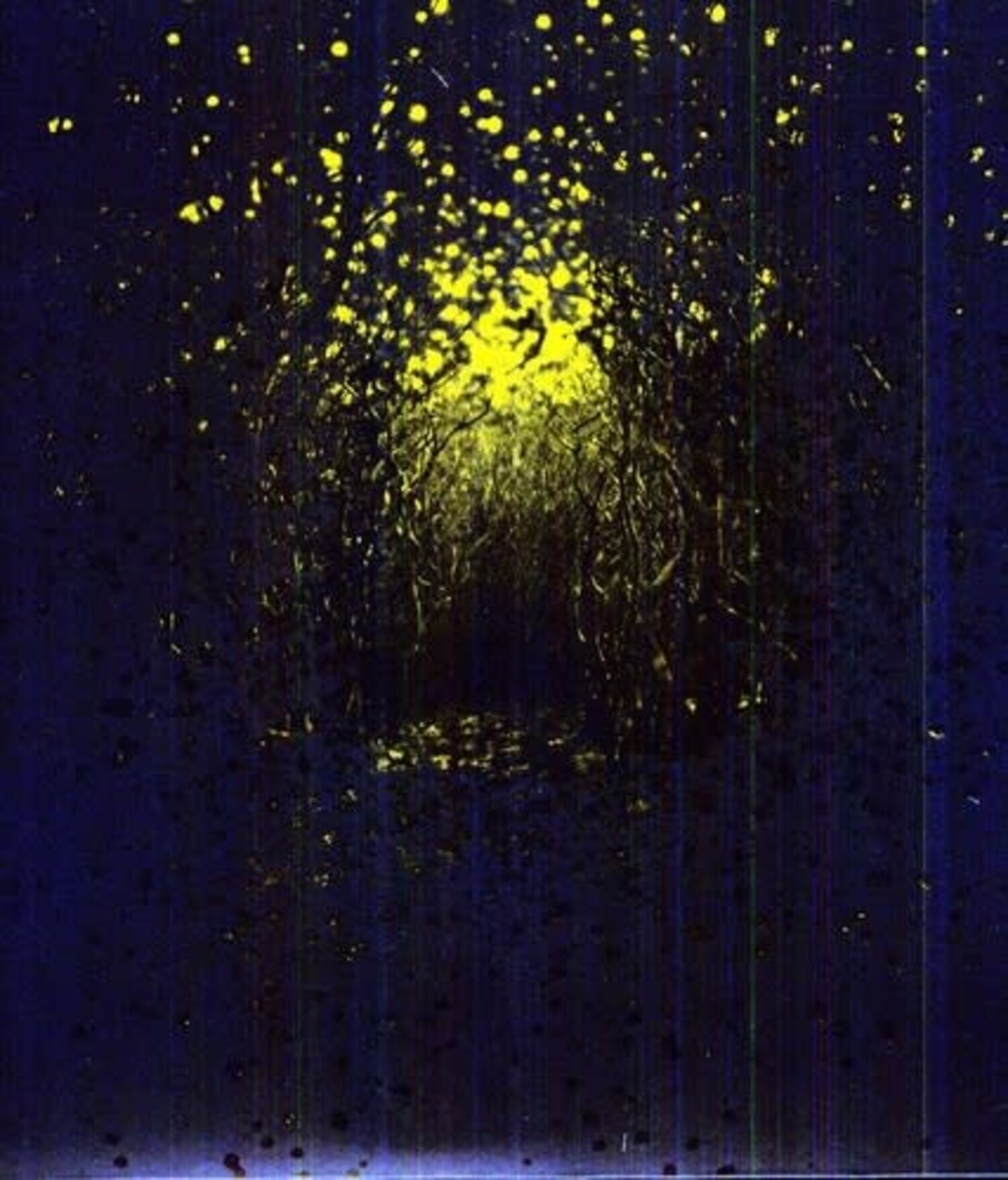 THE ANTLERS BURST APART レコード Amazon.com: Burst Apart (Lemonade Vinyl): CDs & Vinyl