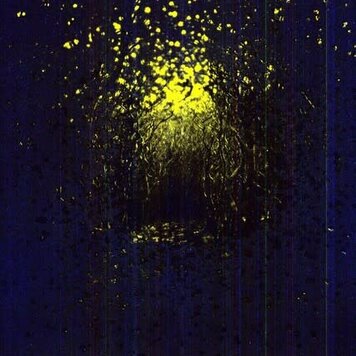 French Kiss Antlers, The - Burst  Apart LP (yellow vinyl)