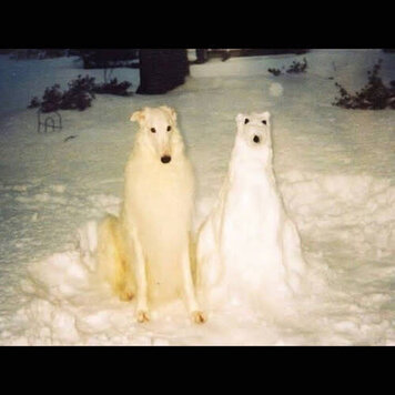 Hunkofplastic Birth Day - Boyhood LP (clear/yellow vinyl)