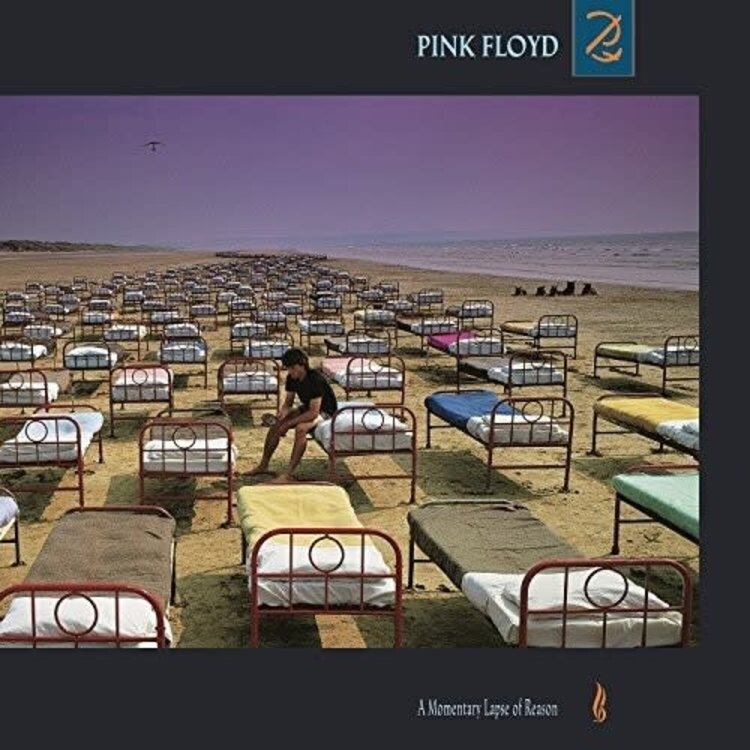 Pink Floyd Records Pink Floyd - A Momentary Lapse of Reason LP (180g)
