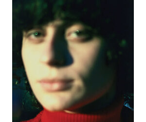 Pre - Order - Ana Frango Little Electric Chicken Heart LP