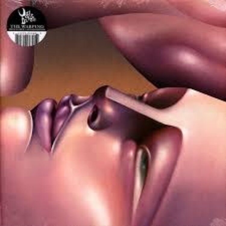 Universal UK Walt Disco - Warping LP (orchid blush vinyl)