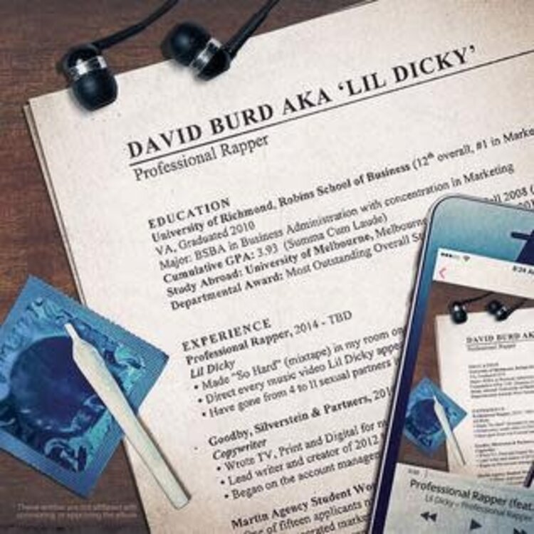 Lil Dicky - Professional Rapper 2LP (platinum vinyl)