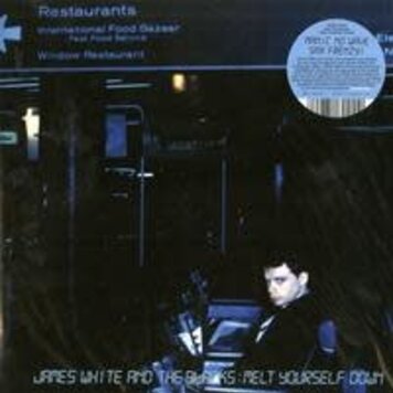 Modern Harmonic White, James And The Blacks - Melt Yourself Down LP (turquoise vinyl)