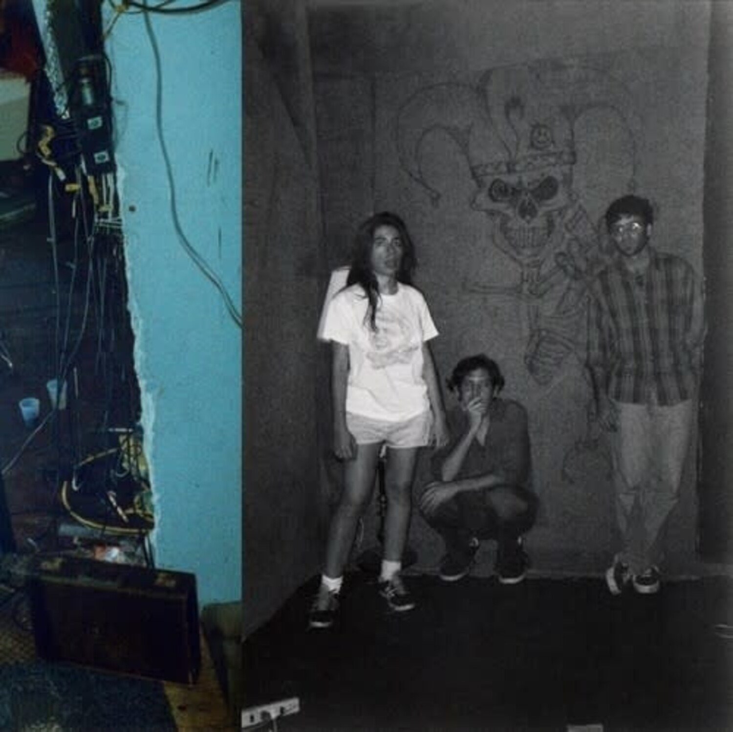 Harry Pussy - You'll Never Play this Town Again 2LP - Wax Trax Records