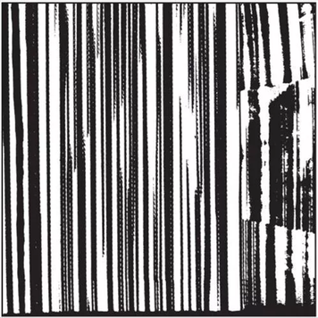 Dead C, The - Harsh 70s Reality 2LP