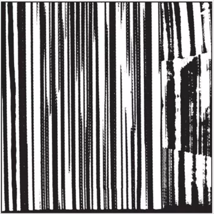 Dead C, The - Harsh 70s Reality 2LP