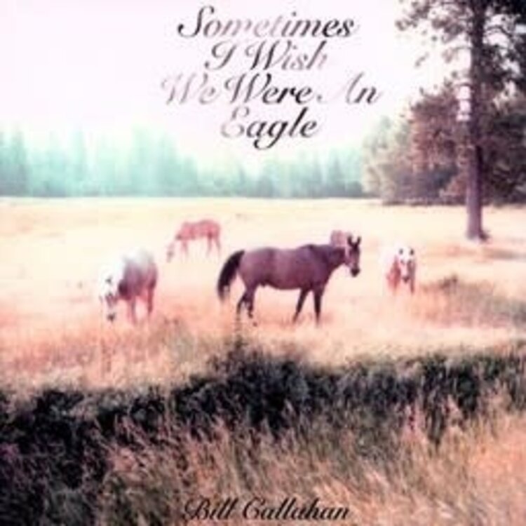 Drag City Callahan, Bill - Sometimes I Wish We Were an Eagle LP