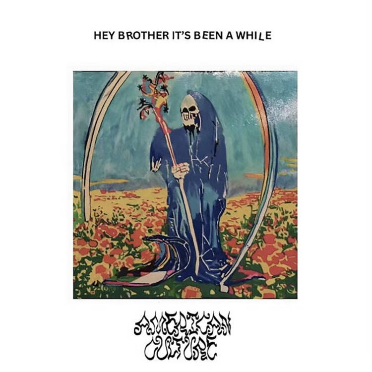 American Culture - Hey Brother, It's Been a While LP