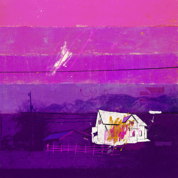 Wax Bodega Free Throw - Those Days are Gone 2LP (10th anniv. pink vinyl)