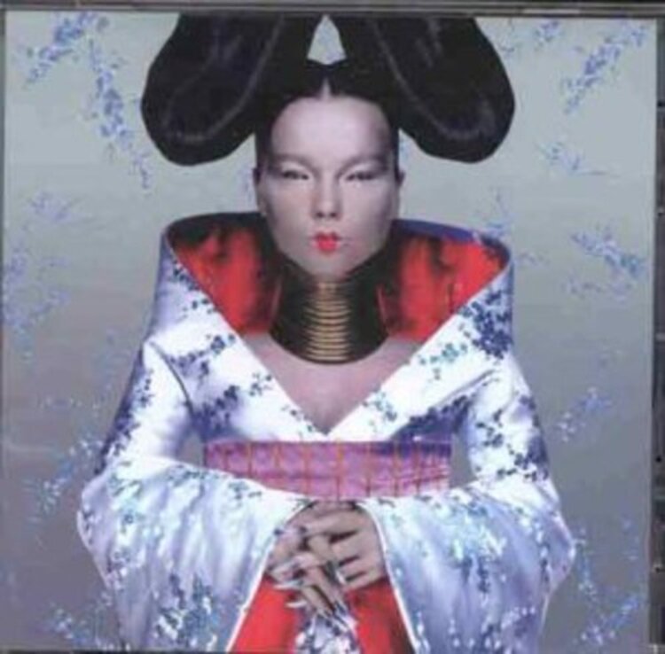 One Little Indian Bjork - Homogenic LP