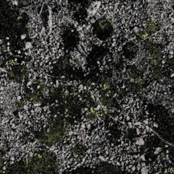 We Are Busy Bodies King Gizzard & The Lizard Wizard - Infest the Rats Nest (Live at Red Rocks '22) LP (glow in the dark green vinyl)