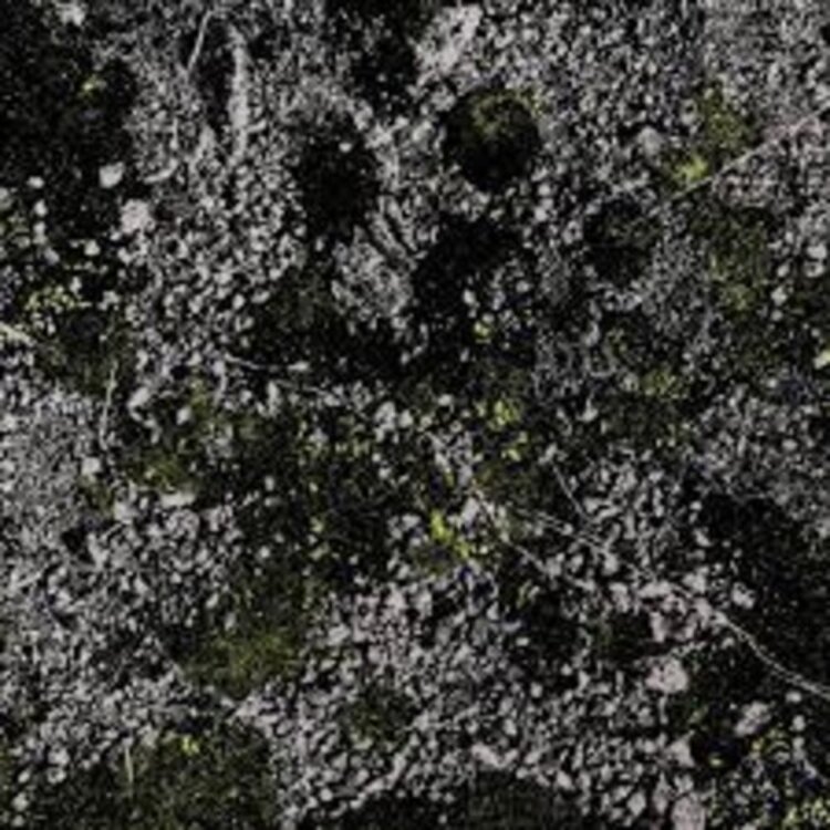 We Are Busy Bodies King Gizzard & The Lizard Wizard - Infest the Rats Nest (Live at Red Rocks '22) LP (glow in the dark green vinyl)