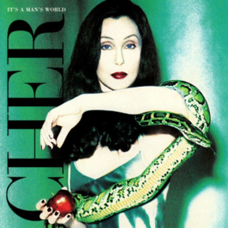 Warner Records Cher - It's A Man's World 2LP
