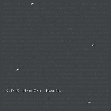 Hosono, Haruomi - N.D.E. 2LP