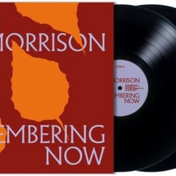 Morrison, Van - Remembering Now 2LP