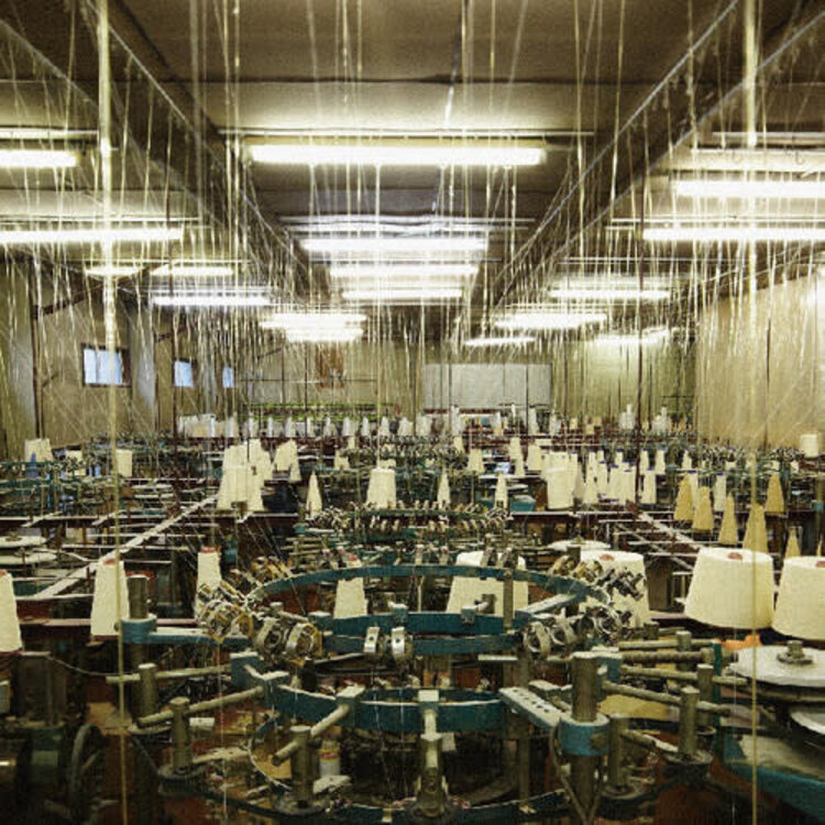 Topshelf Records toe - For Long Tomorrow LP (spindle vinyl)