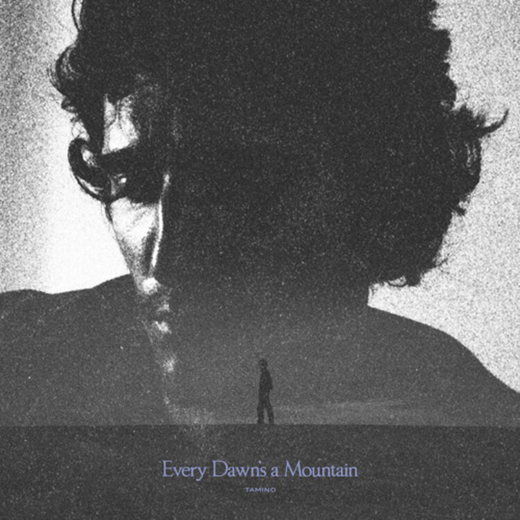 Djinn Tamino -  Every Dawn's a Mountain LP (color vinyl)