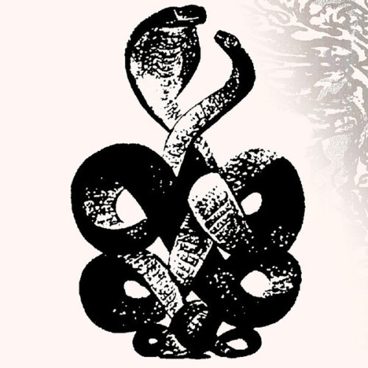 Bardo Pond - Volume 4 & 5 2LP