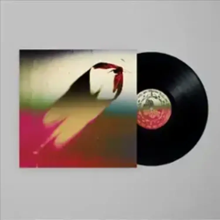 Dead Oceans Scowl - Are We All Angels LP