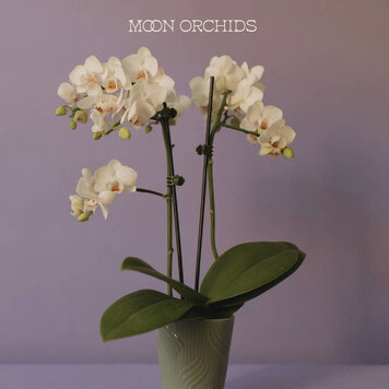 Moon Orchids - (self-titled) LP