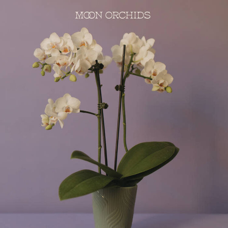 Moon Orchids - (self-titled) LP