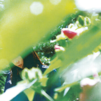 Jet Set Minuano - Spring Lovers LP