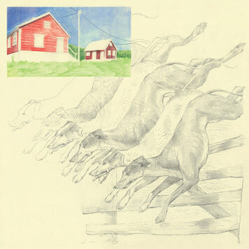 Ghostly International Quickly Quickly - I Heard That Noise LP (mint green)