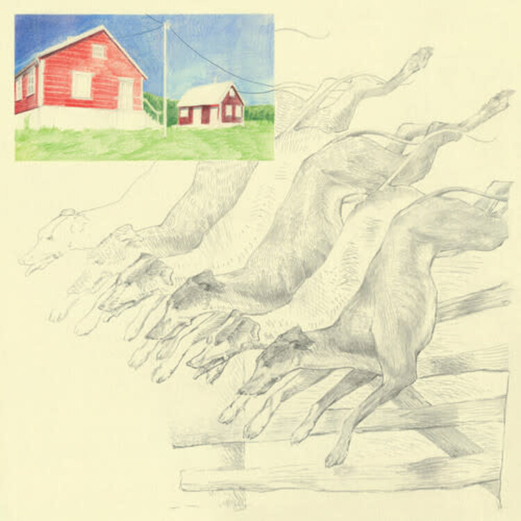 Ghostly International Quickly Quickly - I Heard That Noise LP (mint green)