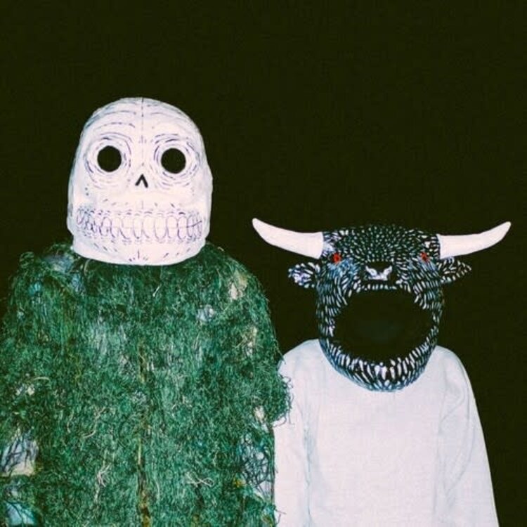 Mick Music Slow Joy - A Joy So Slow at Times I Don't Think It's Coming LP