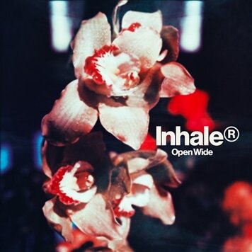 Interscope Inhaler - Open Wide LP