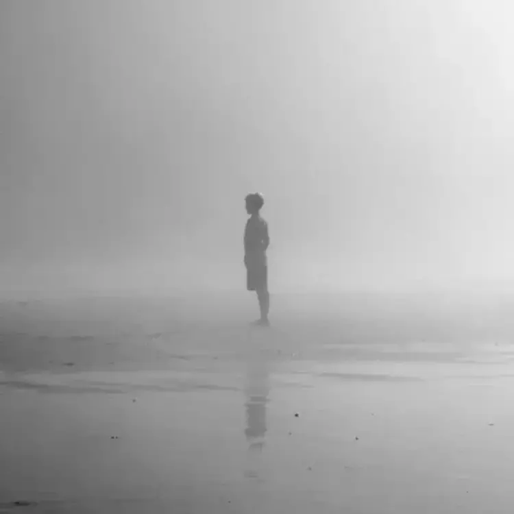 Covenhoven - IV LP (color vinyl)