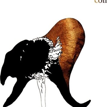 Dais Coil - Black Antlers 2LP