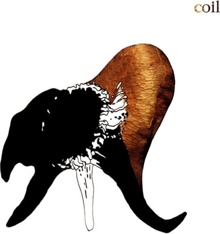 Dais Coil - Black Antlers 2LP