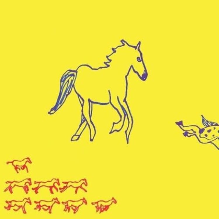 Dehd - Water LP (ice blue vinyl)