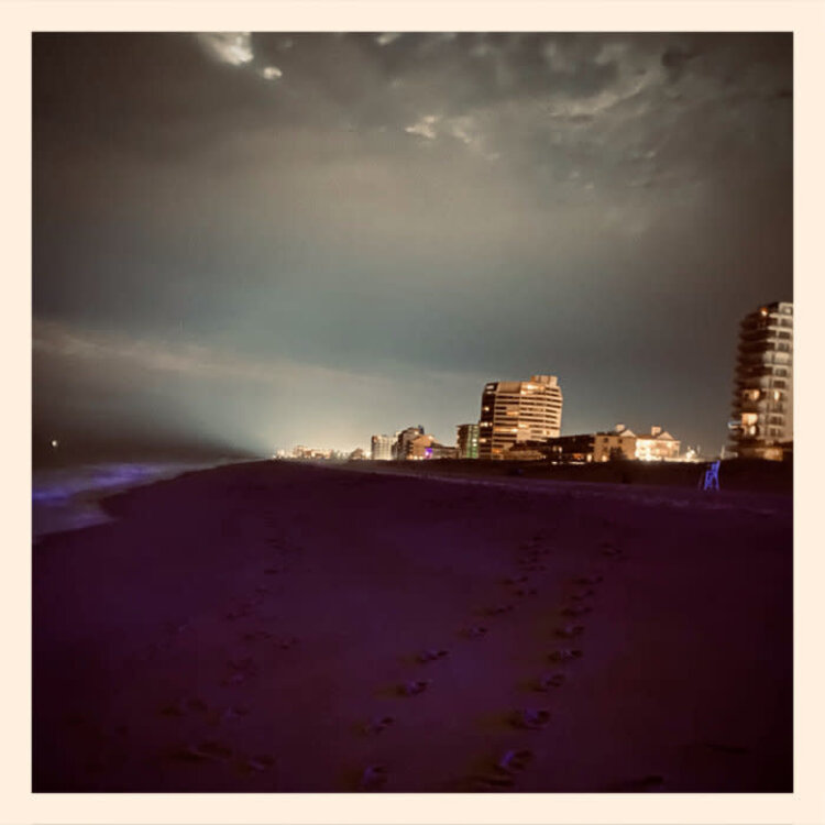 Wave Decay - Reflections LP