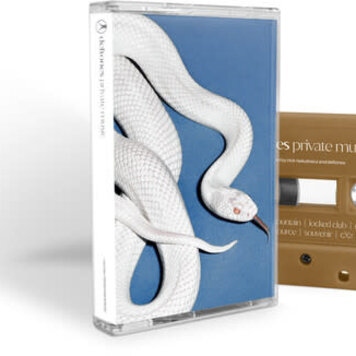 Deftones, The - Private Music CASSETTE (alt cover)