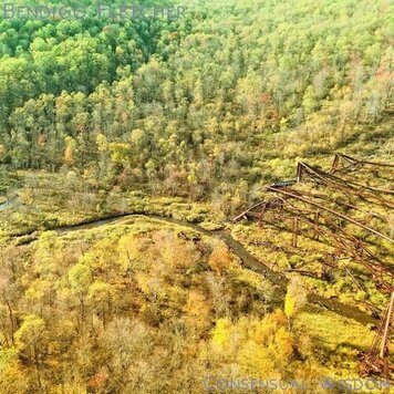 Bendigo Fletcher - Consensual Wisdom LP (color vinyl)