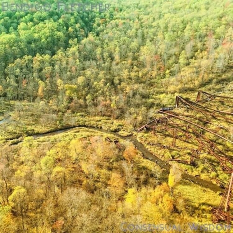 Fletcher, Bendigo - Consensual Wisdom LP (color vinyl)